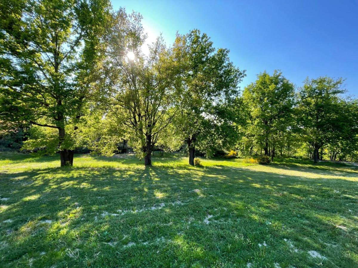 La Villa Perroquet Poncins Esterno foto